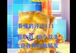 笑话大全视频爆笑,笑话大全视频爆笑集锦