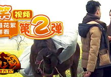 爆笑视频,盘点近期爆笑视频,欢乐无限
